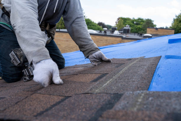 Best Roof Leak Repair  in Wynnewood, OK