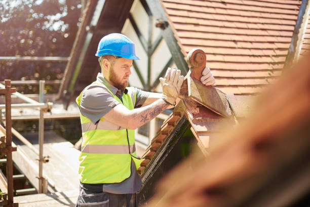 Best Roof Gutter Cleaning  in Wynnewood, OK